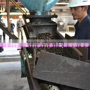 Most Popular Bottom Price in Africa 40TPH Palm Oil Equipment thumbnail-5
