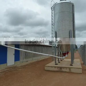 Light Steel Chicken House thumbnail-4