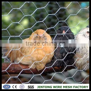 Hexagonal Plastic Mesh Chicken Wire Glass Suppliers Hexagonal Chicken Wire Mesh thumbnail-1