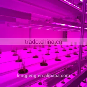Container Greenhouse for Agriculture thumbnail-2