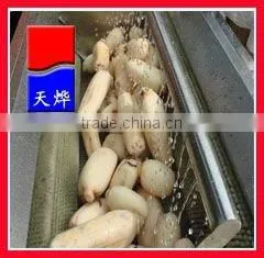 TY-1000A Hot Selling & Brushes Vegetable Washer (Video) thumbnail-1