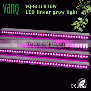 3.3ft IP65 36W LED Grow Bar Light for Plant Tissue Culture thumbnail-1