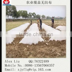 Non Woven Fabric Used for Agriculture Green House Cover thumbnail-1