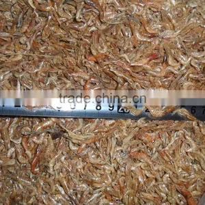 Top Quality Freshwater Sun Dried Shrimp thumbnail-2