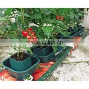 Garden Plastic Vegetable Planter Tomato Grow Pots thumbnail-2