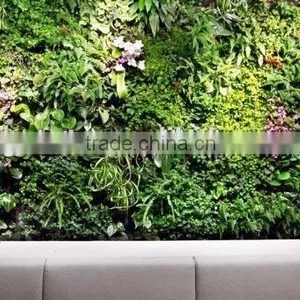 Fake Grass Wall Cheaper House Use (110X50cm) Artificial Wall Grass thumbnail-5