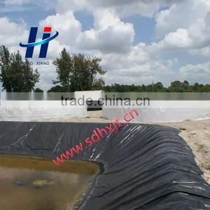 Geomembrane Used in Ornamental Lake Anti-seepage thumbnail-3