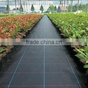 Weed Control Mat Export to Europe thumbnail-5