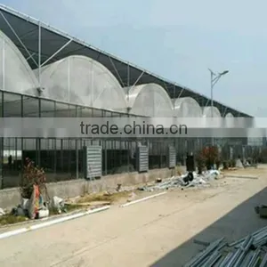 Hot Galvanized Steel Commercial Film Covering Greenhouse thumbnail-1