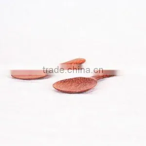 COCONUT SCOOP thumbnail-1