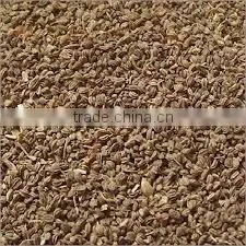 Celery Seed thumbnail-3
