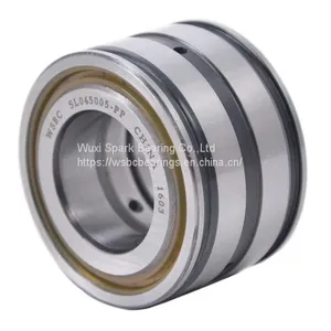 WSBC Sealed Double Row Full Complement Cylindrical Roller Bearings SL04 5004 PP thumbnail-1