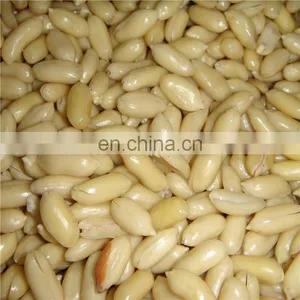 High Performance Soaked Groundnut Cleaning Machine thumbnail-3