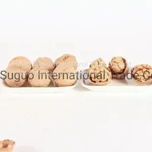 185 Yunnan 33 XIN2 Walnut/China Walnut/Chinese Walnut Vs Chile America Walnut thumbnail-3
