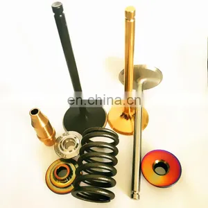 Strong Spare Parts For Citroen Jumper 40 3.0 F1CE 0481 Saxo VTS 0948F1 0948G7 0949E6 0949G1 Intake and Exhaust Engine Valves thumbnail-6