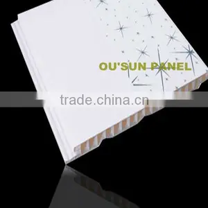 2012 Haining The Newest PVC Panel For Wall And Ceiling thumbnail-1