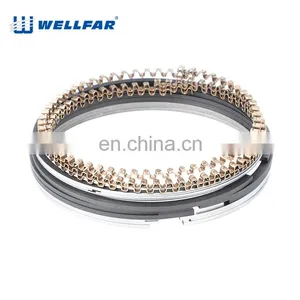Wellfar Daewoo Tico Parts Car 68.5mm Rings Piston For Tico Engine thumbnail-1