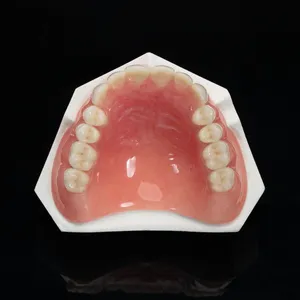 Zirconia All-Ceramic Crowns And Bridges Have No Irritation Or Allergic Reaction To The Gums thumbnail-2
