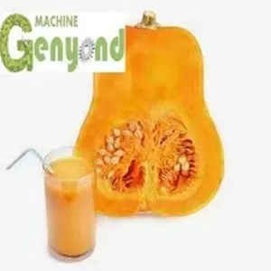 Pumpkin Fruit Processing Production Line Equipment Manufacturing, Pumpkin Pulp Processing Machinery, Pumpkin Juice Processing thumbnail-1