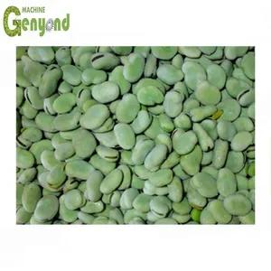 Shanghai Fruit and Vegetable Cold Storage Room thumbnail-1