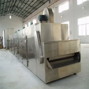 Automatic Coconut Flakes Drying Machine / Coconut Shred Dryer thumbnail-4