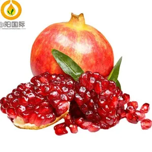 Premium Fresh Fruits: Pomegranate thumbnail-3