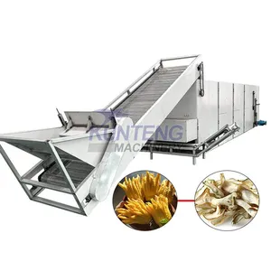 Mesh Belt Bergamot Dryer Fully Automatic Bergamot Cleaning Slicing and Drying Production Line EPC thumbnail-1