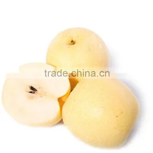 Popular 2015 Fresh Shandong Pear thumbnail-4