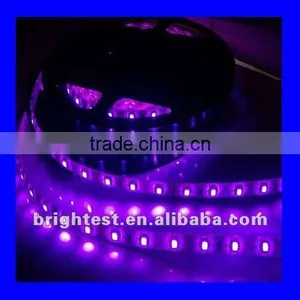 3m Adhesive RGB 5050 LED UV Strip, DC 12V 24V 60pcs/m Flexible LED Strip thumbnail-5