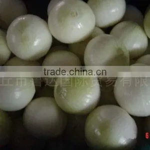2014 New Crop High Quality Yunnan Fresh Yellow Onion thumbnail-1