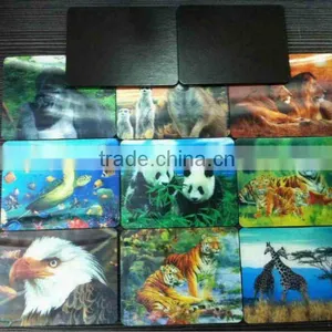 Lenticular 3D Magnet thumbnail-1