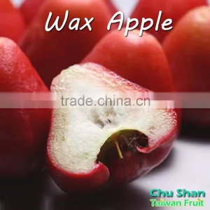 Good Quality Wax Apple for Sale thumbnail-4