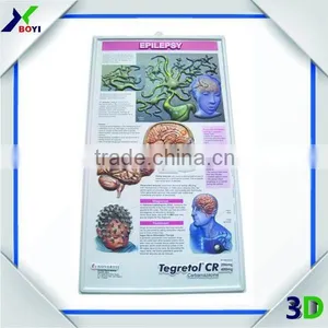 China Factory Anatomy 3d Wall Poster/plastic Embossed Cubic Medical Poster thumbnail-4