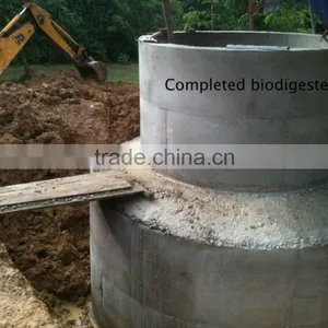 China Puxin High Reliable Household 10m3 Biogas Anaerobic Digester Quality Choice thumbnail-1