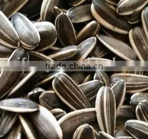 Best Cheap Sunflower Seed 601 thumbnail-3