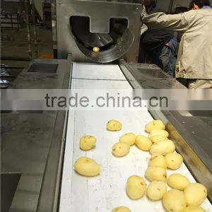 Potato Chips Machine/Chips Machine/Potato Chips Making Machine thumbnail-3