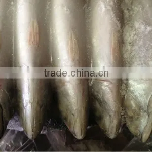 Frozen Whole Round Mackerel Size 200-300g/pcs for Sale thumbnail-2
