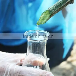 Pure Natural Loofah Water thumbnail-1