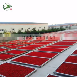 Dried Goji Berry Organic Goji Berries thumbnail-1