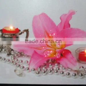 LED Canvas Painting Light thumbnail-1