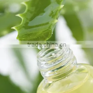 Aloe Vera Extract thumbnail-1