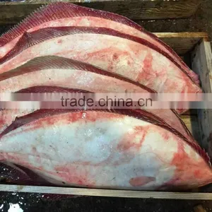 New Arrival Frozen Fish Flounder thumbnail-1
