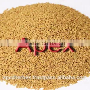Fenugreek Seeds thumbnail-1