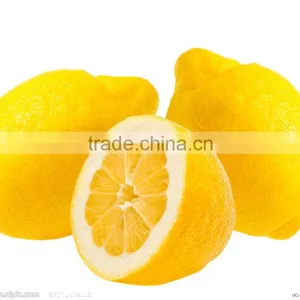 Fresh Yellow Lemon thumbnail-1