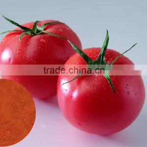 100% Natural Fruit Powder Tomato Extract Powder Lycopene Powder thumbnail-1