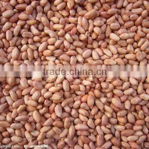Chinese Peanut Kernel thumbnail-1