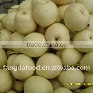 Sweet ya Pear Best Price in China Market thumbnail-1