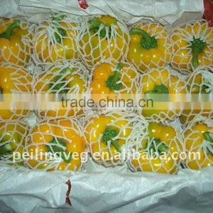 FRESH YELLOW PEPPER thumbnail-1