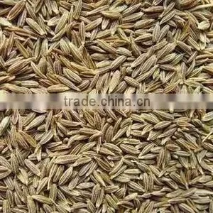 Cumin Seeds thumbnail-1