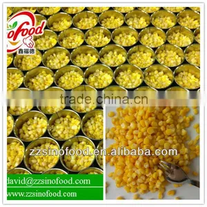 Canned Sweet Corn in Brine Factory in China thumbnail-1